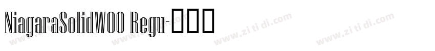 NiagaraSolidW00 Regu字体转换
